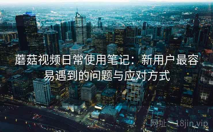 蘑菇视频日常使用笔记：新用户最容易遇到的问题与应对方式