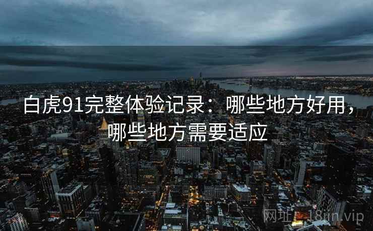 白虎91完整体验记录：哪些地方好用，哪些地方需要适应
