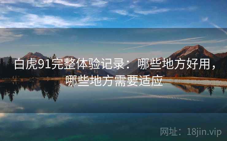 白虎91完整体验记录：哪些地方好用，哪些地方需要适应