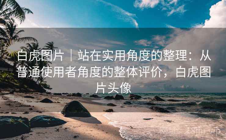 白虎图片｜站在实用角度的整理：从普通使用者角度的整体评价，白虎图片头像